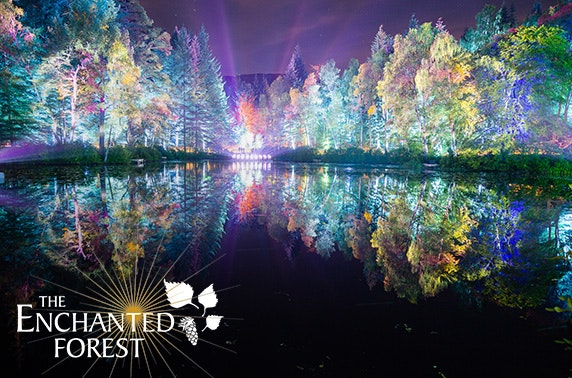 The Enchanted Forest tickets, Pitlochry – itison - 572 x 378 jpeg 94kB