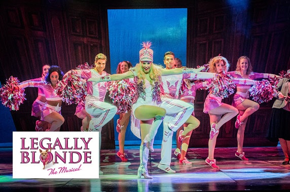 Legally Blonde Hotel And Theatre Deal 55