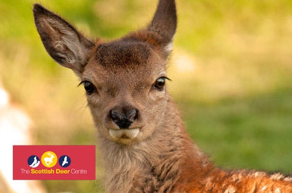 The Scottish Deer Centre passes