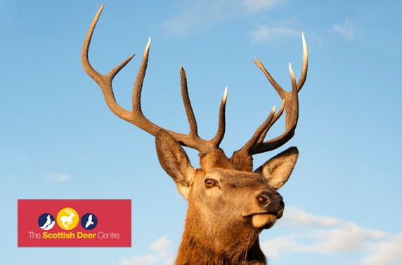 The Scottish Deer Centre passes