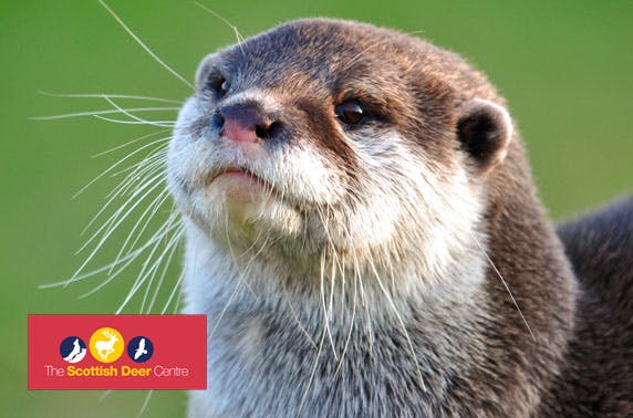 The Scottish Deer Centre passes