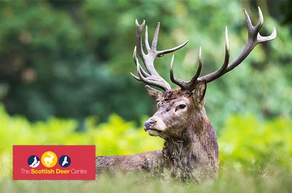 The Scottish Deer Centre passes