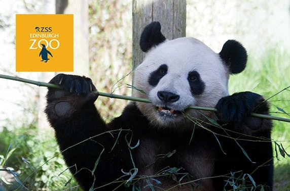 Edinburgh Zoo tickets - valid 7 days – itison