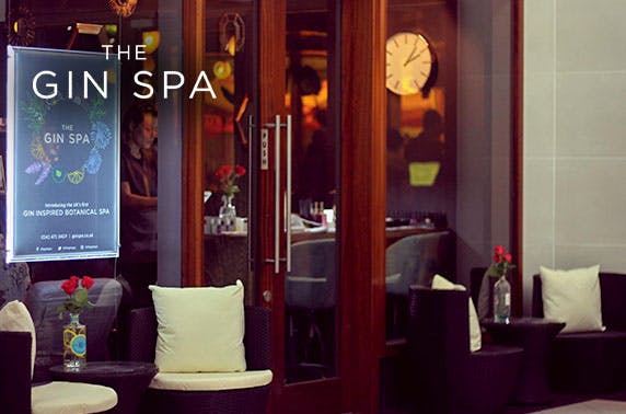 The Gin Spa treatments & afternoon tea