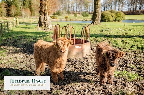 4* Meldrum House Country Hotel breakfast or lunch