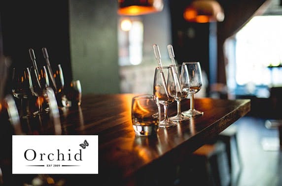 Gin tasting at Orchid Aberdeen