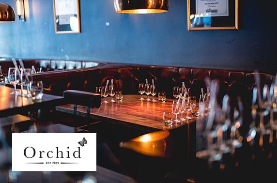 Gin tasting at Orchid Aberdeen