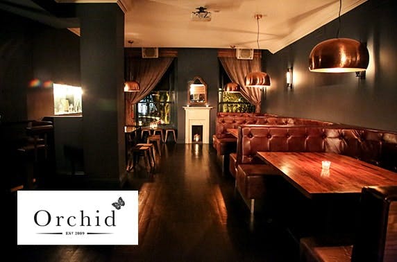 Gin tasting at Orchid Aberdeen