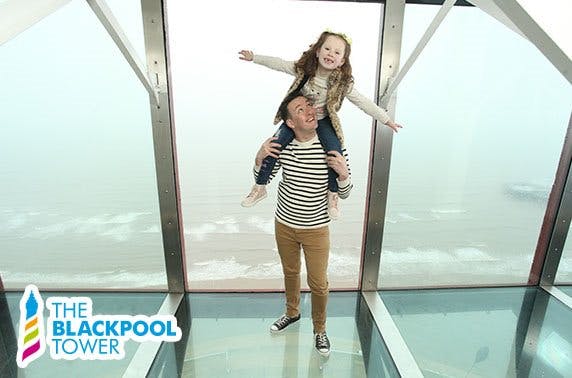The Blackpool Tower Eye