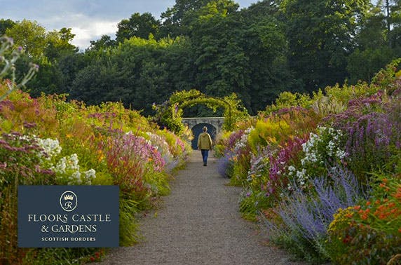 5* Floors Castle visit with optional afternoon tea