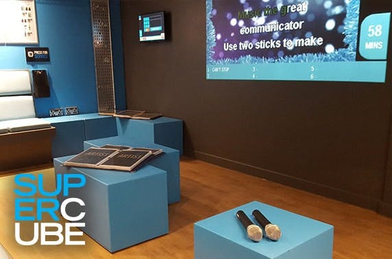Private karaoke and drinks - from £1pp