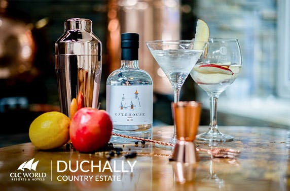 4* Duchally Country Estate afternoon tea
