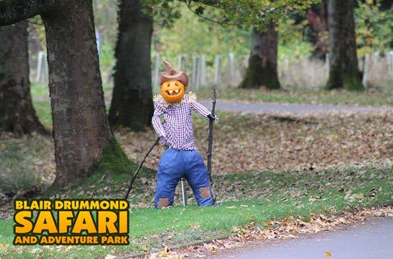 HalloWild at Blair Drummond Safari Park