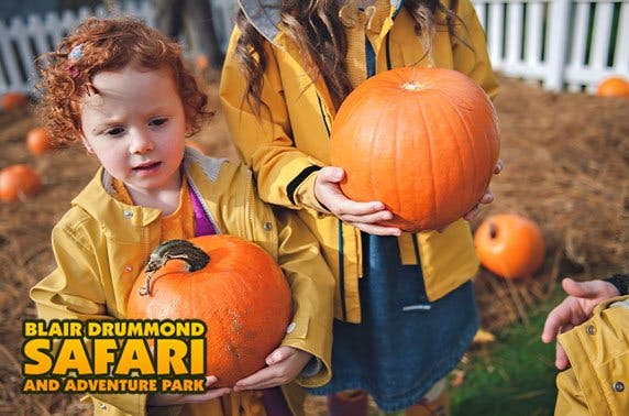 HalloWild at Blair Drummond Safari Park