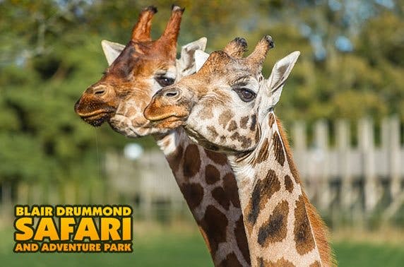 HalloWild at Blair Drummond Safari Park