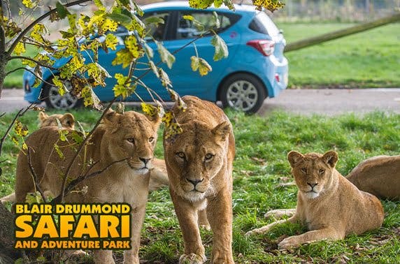 HalloWild at Blair Drummond Safari Park