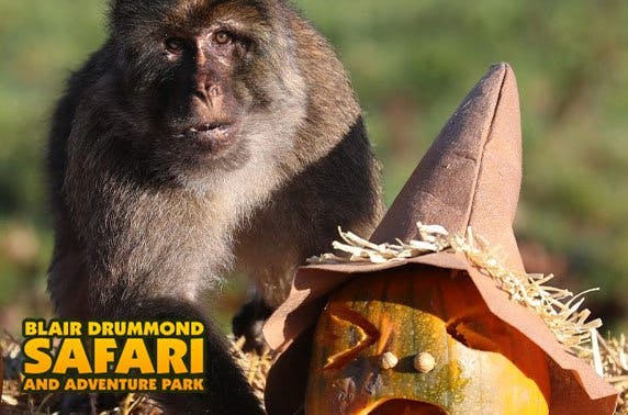 HalloWild at Blair Drummond Safari Park