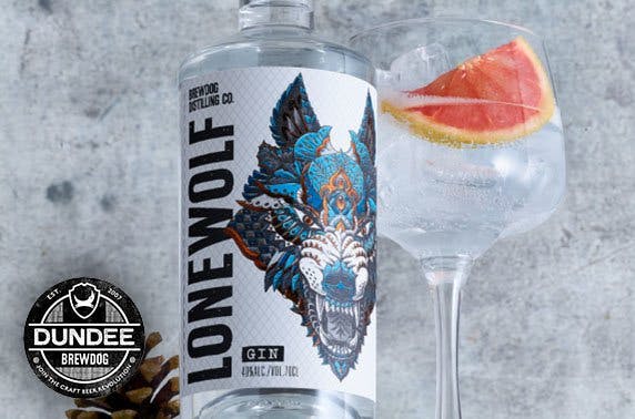 BrewDog Dundee gin flights & cheeseboard