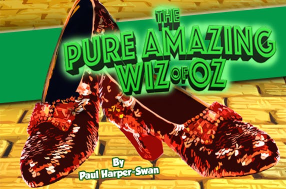 The Pure Amazing Wiz of Oz, Websters Theatre