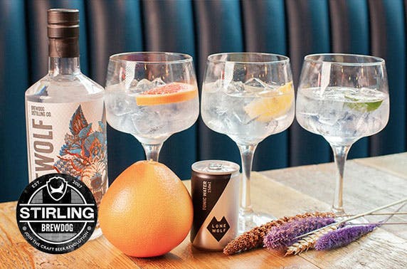 BrewDog Stirling gin flights & cheeseboard
