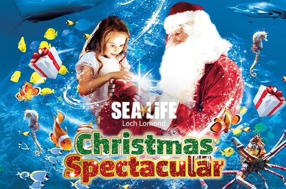 Santa at SEA LIFE Loch Lomond